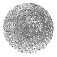 150 Light 10" Standard Sphere Clear